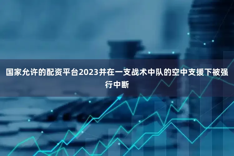 国家允许的配资平台2023并在一支战术中队的空中支援下被强行中断