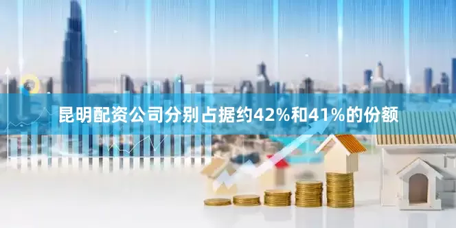 昆明配资公司分别占据约42%和41%的份额