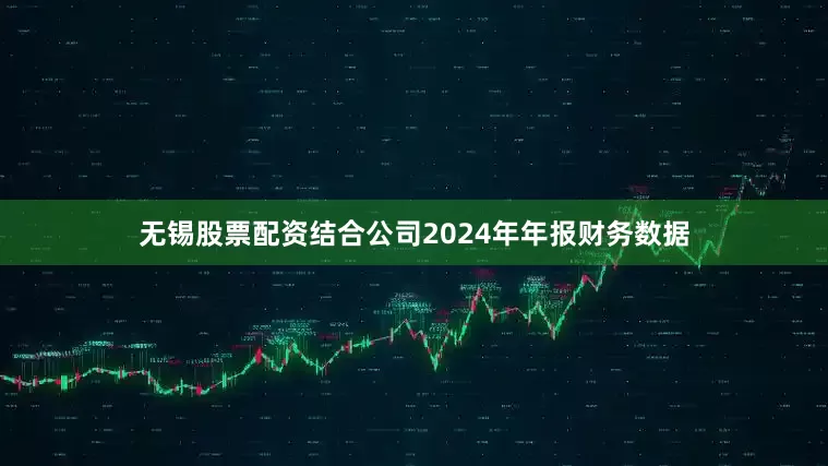 无锡股票配资结合公司2024年年报财务数据