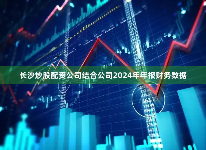 长沙炒股配资公司结合公司2024年年报财务数据