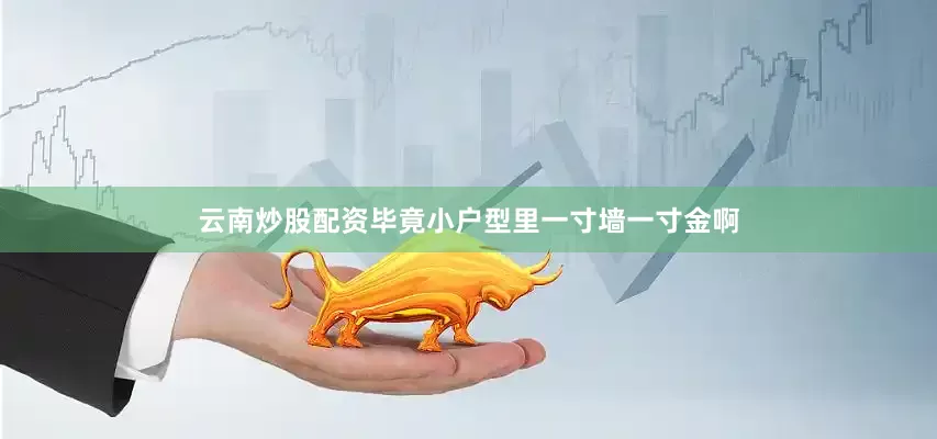 云南炒股配资毕竟小户型里一寸墙一寸金啊